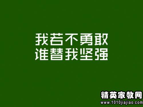 微信朋友圈最新流行語，探索社交新趨勢與語言變遷