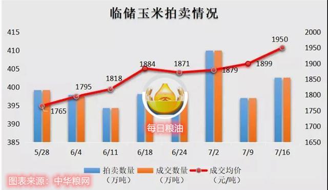 最新山東玉米收購價格，市場趨勢、影響因素及未來展望