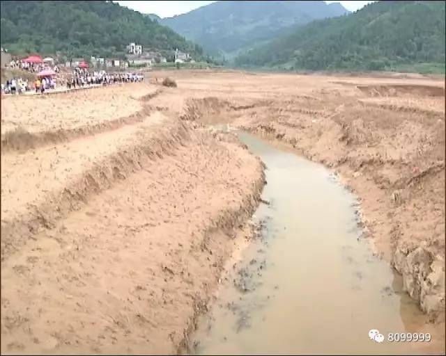 羅平板橋出現(xiàn)水怪最新消息，揭秘神秘生物背后的真相