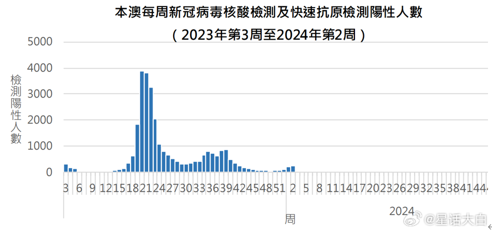 澳門碼今天的最新數(shù)據(jù)與分析