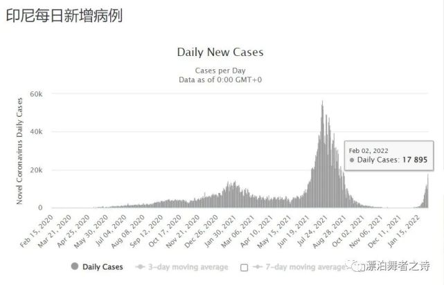 印尼疫情最新，挑戰(zhàn)與希望并存