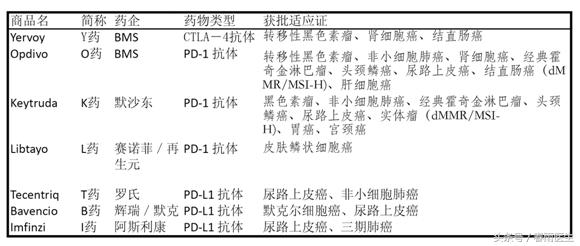 K藥最新研究進(jìn)展，探索免疫療法的未來