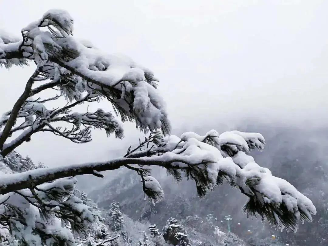 陜西最新雪景，冬日里的詩(shī)意畫卷