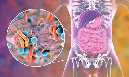 糞便移植最新進(jìn)展，探索微生物組療法的新前沿